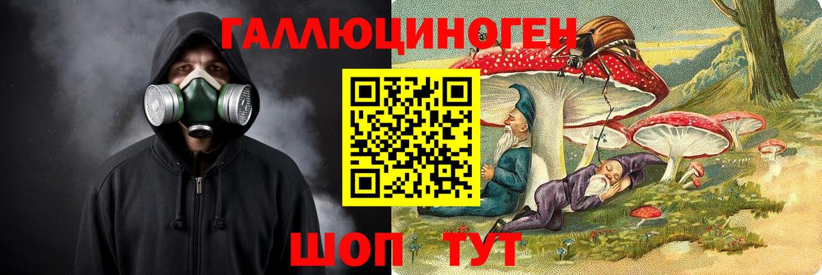 Галлюциногенные грибы MAGIC MUSHROOMS  Вход с VPN  Щёлково  Галлюциногенные грибы ЛСД 